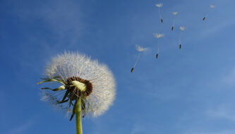 Preghiera per i figli