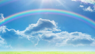 Noi ti diciamo grazie!