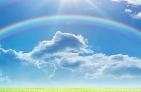 Noi ti diciamo grazie!